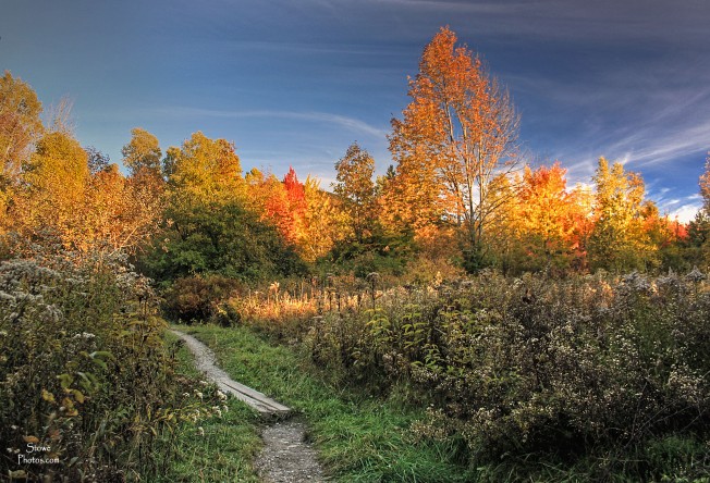 Stowe, VT - Pinnacle color at the path - October 10, 2015